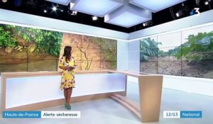 Sécheresse : le nord de la France en alerte