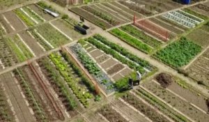 Jardin - Potagers notables