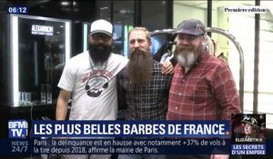 Courte, longue ou grisonnante, Paris accueille samedi le championnat de France de barbe