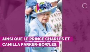 PHOTOS. Elizabeth II : retour sur ses looks colorés pendant le...