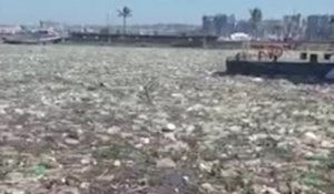 Plus de 300 tonnes de plastiques à la surface de l'eau dans un port après des inondations