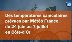 Des températures caniculaires attendues en Côte-d'Or
