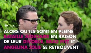 Brad Pitt et Angelina Jolie : Leur vin bat un nouveau record