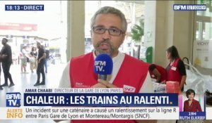 Ligne R: la SNCF annonce que l'incident sur un caténaire entre Montereau/Montargis et Gare de Ltyon a été résolu