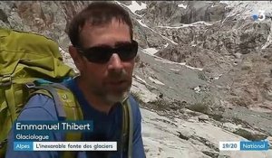 Dans les Alpes, le glacier blanc du Massif des Écrins disparaît