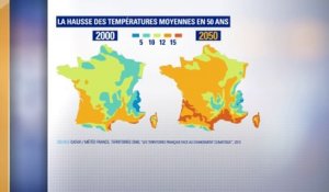 Avec une hausse des températures de 2°C, à quoi ressemblera la France en 2050?