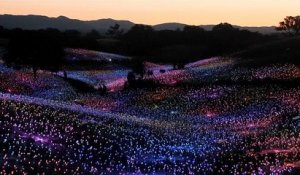 "Field of Light", l'exposition qui illumine les collines californiennes