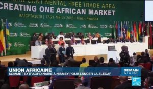 Union africaine : un sommet extraordinaire pour lancer la ZLECA