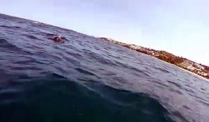 Cette baleine renverse un Kayak en remontant à la surface de l'océan !