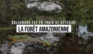 Bolsonaro est en train de détruire la forêt amazonienne