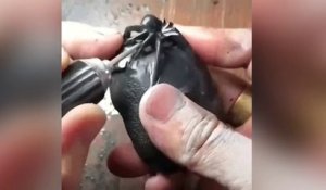 Un artiste sculpte une araignée sur un galet !
