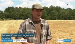 Puy-de-Dôme : 10 hectares de foin fauchés, bottelés et volés