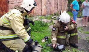 Russie: Regardez ces pompiers réanimer un chat retrouvé inconscient sur le lieu d’un incendie après 10 minutes d’efforts