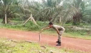 Un soldat maîtrise un cobra en utilisant qu'un seul doigt