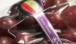 Japon : une grappe de raisin vendue 10 000 € aux enchères