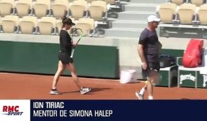 Wimbledon : pour le mentor d’Halep, "elle a fait le match de sa vie" contre S. Williams