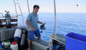 Nouvelle-Calédonie : la technique de l'"ADN environnemental" au secours de la biodiversité sous-marine