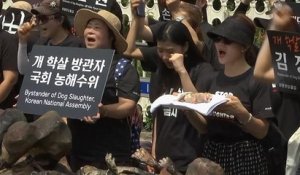 Viande de chien : pro et anti manifestent à Séoul