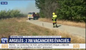 Incendie à Argelès-sur-Mer: selon le maire de la commune, "le feu est en voie d'être maîtrisé"