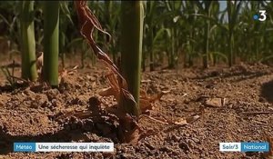 Sécheresse : la canicule annoncée inquiète les départements qui manquent d'eau