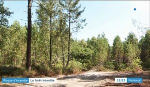 Gironde : une forêt interdite à la promenade à cause du risque incendie