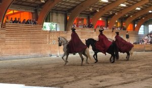 Spectacle équestre « cheval mon histoire »