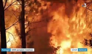 Portugal : 1 000 pompiers luttent contre un nouvel incendie