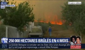 1.700 pompiers engagés au Portugal pour lutter contre des incendies hors de contrôle