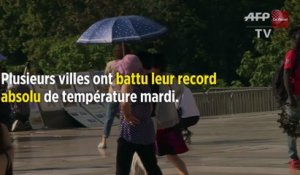 Canicule : à quoi faut-il s'attendre pour cette semaine ?