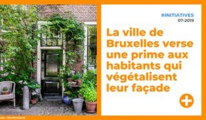 La ville de Bruxelles verse une prime aux habitants qui végétalisent leur façade