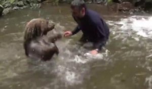 Un ours rejoint un homme à l'eau et joue avec lui