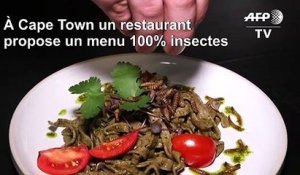 Afrique du Sud: un restaurant du Cap propose un menu 100% insectes