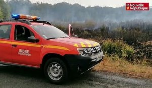 VIDÉO. Cinq hectares brûlés en forêt du Poinçonnet