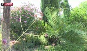 La canicule menace le jardin botanique de Lyon