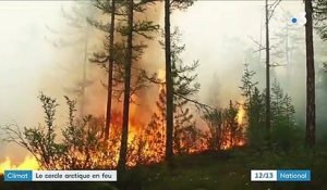 Incendies : des millions d'hectares partis en fumée dans le cercle arctique
