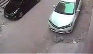 Le voleur le plus débile de l'année se rate en essayant de casser une vitre de voiture
