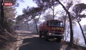 Un feu de forêt à Saint-Mandrier rapidement maîtrisé