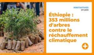 Éthiopie : 353 millions d'arbres contre le réchauffement climatique