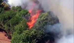 incendie saint andré de sangonis