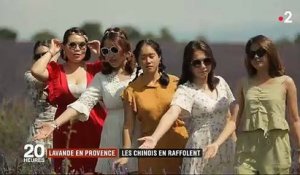 Découvrez pourquoi les champs de lavande en Provence sont devenus un passage obligé pour les touristes chinois ? - VIDEO