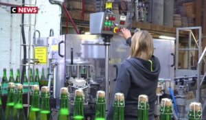Nord : l'engouement des Français pour la bière artisanale