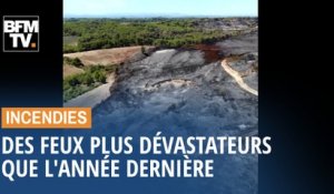 En seulement quelques mois, les incendies ont dépassé les dégâts causés en 2018