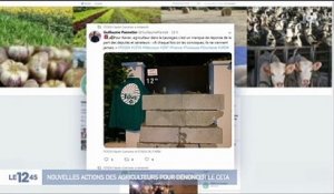 Haute-Garonne : deux nouvelles permanences de la majorité vandalisées