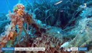 Méditerranée : le fléau des filets de pêche abandonnés