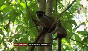 Madagascar : Nosy Tanikely, un paradis à préserver