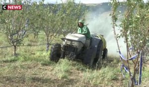 Rhône : les agriculteurs inquiets après la perte d'une partie de leurs récoltes