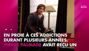 Michèle Laroque proche de Pierre Palmade : pourquoi elle a choisi de le "protéger"