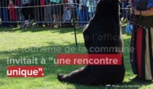 Polémique : montreur d'ours, un métier qui doit être interdit ?