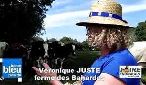 Véronique de la Ferme des Bahardes : nos vaches sont nourries principalement avec de l'herbe