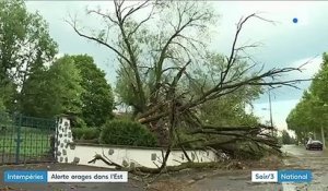 Orages : la grêle fait des dégâts dans le Rhône